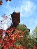 PICTURES/Oak Creek Canyon In October/t_Red Tree & Balancing Rock.jpg